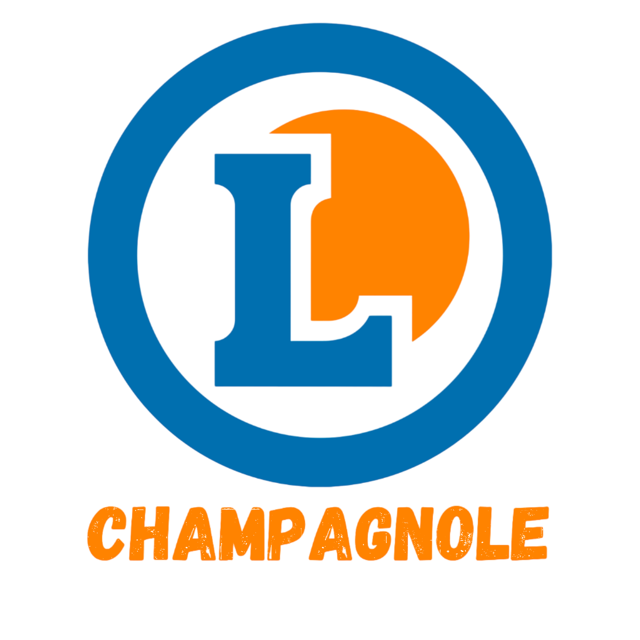 7581177411780099110-Photoroom.png-Photoroom Nos partenaires